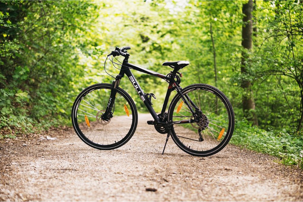 Mountain bike no meio de uma trilha - Fonte: Pixabay.
