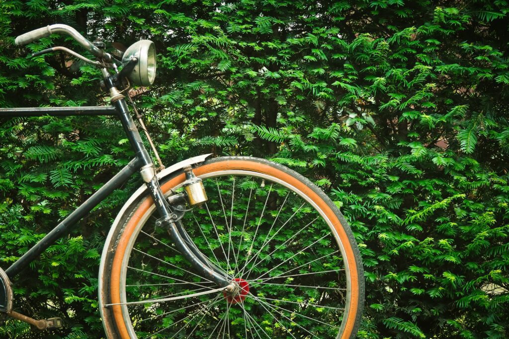 Bicicleta simples encostada nas plantações