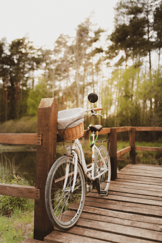 Bicicleta feminina com cesta. Foto de Dominika Roseclay, Pexels.